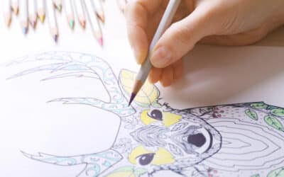 7 raisons des bienfaits du coloriage pour adultes