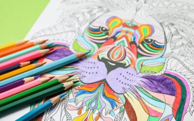 Le coloriage pour adultes : un anti-stress simple et efficace